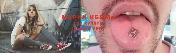 индика Мурманск