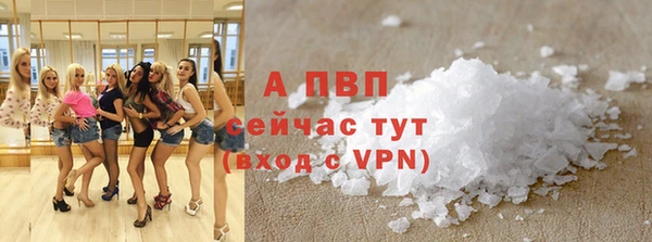 индика Дмитровск